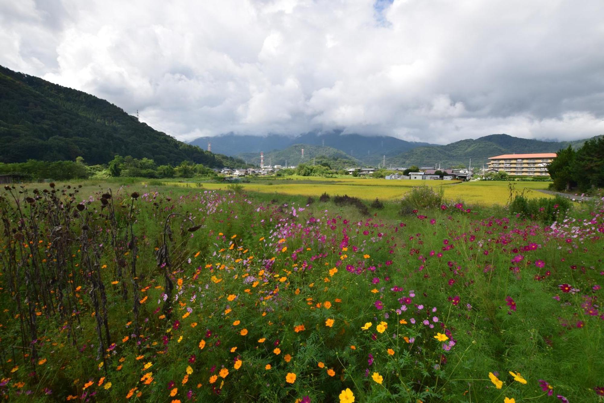 Gate Yamanashi Tsuru Villa Bagian luar foto